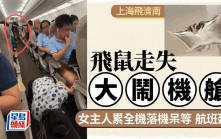 上海虹橋｜「偷渡」飛鼠逃脫大鬧機艙   女主人累旅客落機被行政拘留