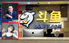 鬥魚CEO陳少傑涉賭獲取保候審  知名主播「小團團」傳被捕