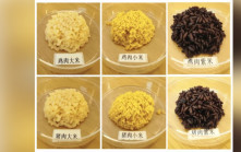 米有豬味︱中國研發出「肉味米」   網民：和尚吃算殺生嗎