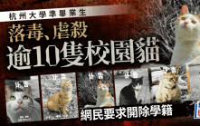 「準畢業生投毒、虐殺十幾隻校園貓咪」 中國計量大學回應：已處分