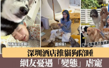 深圳酒店推貓狗陪睡　網友憂遇「變態」虐寵
