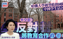 哈佛被禁收國際生│中國學生佔20%  外交部：反對將教育合作政治化