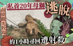 南韩观光牧场私养母狮逃脱 当局约1小时后寻获射杀
