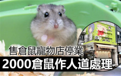 第5波疫情｜全港售卖仓鼠宠物店需停业 约2000仓鼠作人道处理