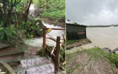 世紀暴雨｜嘉道理農場大規模清理暫停開放 米埔濕地設施未見損毀