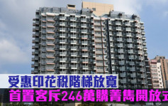 二手市況｜受惠印花稅階梯放寬 首置客斥246萬購菁雋開放式