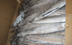 印尼進口急凍帶魚包裝檢出新冠病毒 全國暫停進口一周