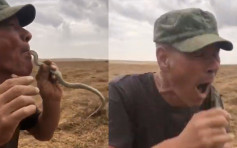 俄國農民貪玩擺蛇入口遭咬傷 疑引發過敏致命