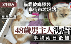猫猫被绑胶袋弃牛头角街市垃圾站 警拘48岁男主人涉虐畜
