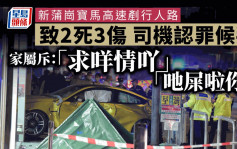 前年除夕夜駕車剷上行人路致2男女不治多人傷　25歲男司機今認罪待判