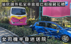 迪欣湖外私家车旅游巴相撞铲花槽 女司机半昏迷送院