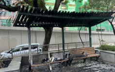 長沙灣一遊樂場遭縱火　長椅和垃圾桶焚毀