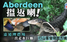 嘉道理農場︰已尋回走失的水巨蜥Aberdeen 行山遊客發現通知