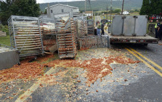 宾夕凡尼亚州大货车货物移位 13.6万只鸡蛋散落公路