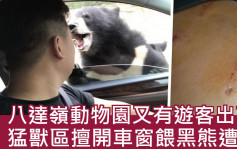 北京动物园猛兽区擅开车窗　黑熊伸头入内咬伤自驾男