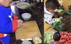 四川3歲男孩煮飯種花樣樣拿手 家長：沒有刻意培養