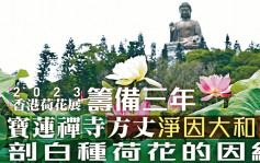 2023香港荷花展｜筹备三年 宝莲禅寺方丈净因大和尚 剖白种荷花的因缘