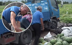 80岁农夫惨遭弃单4000西瓜 民众响应购买一天内扫清