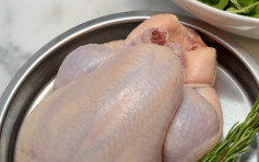 本港暂停进口法国洛特-加龙省禽类产品