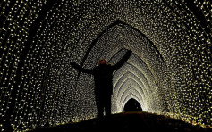 英国皇家植物园圣诞灯饰展览 吸引民众不畏寒冷到场
