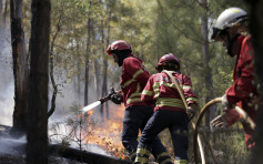 葡萄牙逾200宗山火破今年新高 男子疑縱火被捕