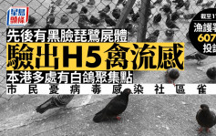 黑臉琵鷺屍體驗出H5禽流感 市民憂病毒感染社區雀鳥