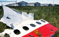 MH17空难4周年 G7外长发声明促俄负责