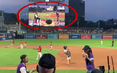男子棒球赛事直播中求婚 女友仓皇逃走电视全程转播