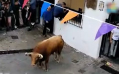 西班牙奔牛节 男观众遭狂牛尖角刺死
