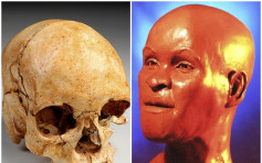 消防在巴西博物館災場發現頭骨 或屬「最古老人類」露西亞