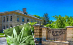 科羅拉多州立大學開辦大麻相關科學課程