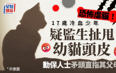 17岁冷血少年疑监生扯甩2个月大幼猫头皮 父母被指多次领养宠物供儿施虐