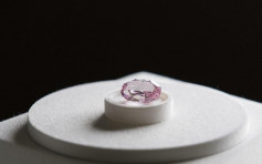 近15卡粉红钻「玫瑰花魂」将拍卖 估值高达5亿