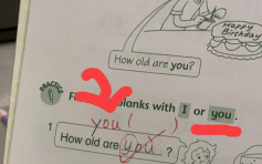 【維港會】小一女功課寫潦草「y」被要求改正 網民：有乜問題？