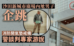 沙田新城市广场内地男子企跳  警谈判专家游说