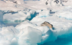 英研究发现 南极冰层下藏有全球最大火山群