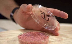 中國首款「人造肉」將於9月深圳推出 價格比豬肉更便宜
