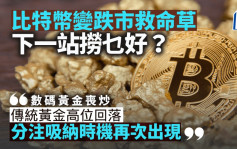 比特幣變跌市救命草 下一站撈乜好？｜唐牛