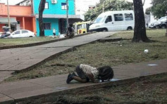 阿根廷女童跪地舔路边积水 照片引发关注