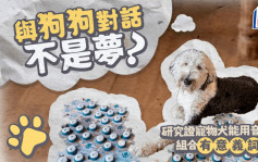 新研究指寵物犬能用音板拼出具意義的兩字組合：首次與人類「交談」