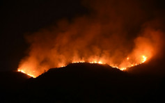 沙田山火焚燒逾17小時未救熄