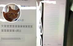 【维港会】网上会议家猫用屁股「打字」竟获另一只猫覆 网民：倾咩大project