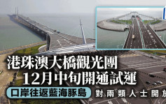 港珠澳大橋遊12月中旬開通試運　對兩類人士開放