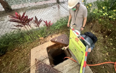 沙田硫化氫奪命意外｜建造業議會暫停3間涉事公司所有工種及專長項目註冊資格