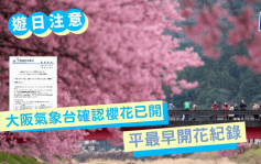 游日注意│大阪气象台确认樱花已开花 与2021年并列最早