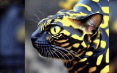 发现稀世动物？「蛇猫」图片被疯传  专家：从未听过此物种
