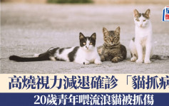 20岁男子喂流浪猫被抓伤  反复高烧视力减退确诊「猫抓病」