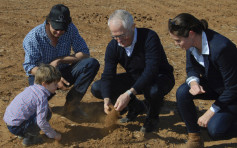乾旱成災 澳洲政府取消禁殺令防袋鼠搶食牧草