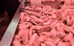 食環署：本港無售帶病毒巴西雞翼批次 停辦涉事廠房禽肉進口申請