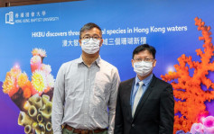 浸大團隊香港水域發現3石珊瑚新物種 綠壁筒星珊瑚料港獨有
